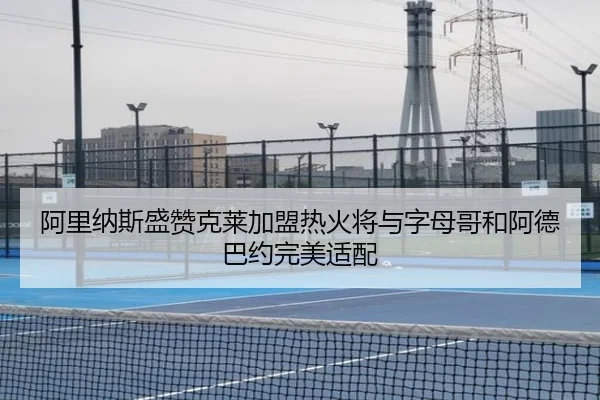 阿里纳斯盛赞克莱加盟热火将与字母哥和阿德巴约完美适配 - kaiyun